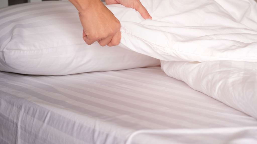 San Jose Airport Inn 客房 照片